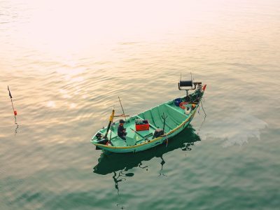 深海荧光生物摄影壁纸，水母在蓝紫色深海中漂浮，生物发光纹理绚丽神秘，画面如梦境般静谧